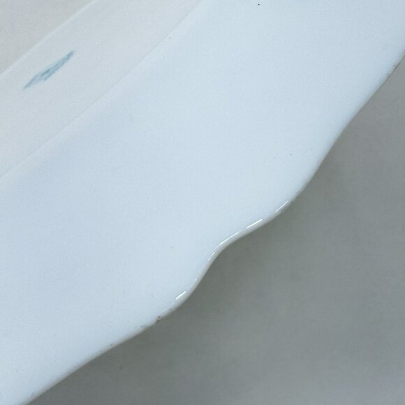 Vintage Arcopal France Provincial Dinner Plate 10” Flower Spring Summer Garden - Picture 12 of 12